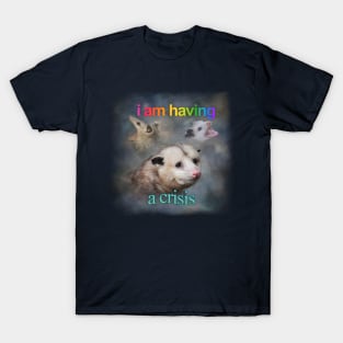 I am having a crisis possum word art T-Shirt